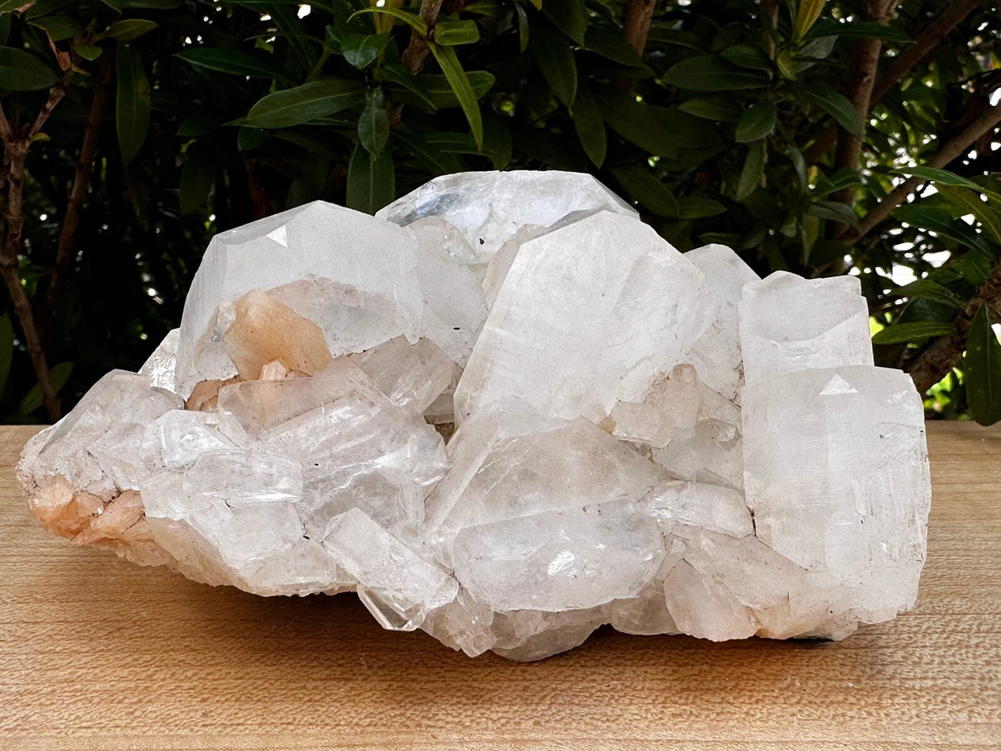 Apophyllite & Stilbite Crystal Cluster 3-8", Apophyllite Cluster with Inclusions