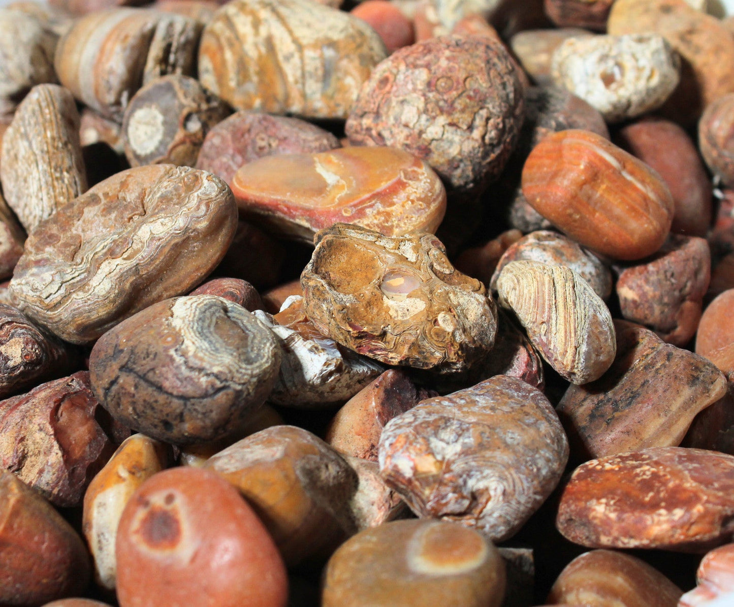 Bahia Agate - Large Rough Rocks for Tumbling - 2" - 3" - 1LB Bulk Wholesale