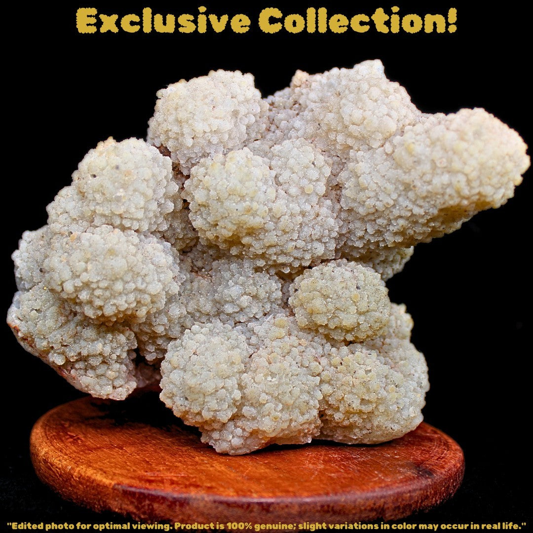 Coral Stone Specimen 410g | Ocean Energy Fossil for Grounding & Calm