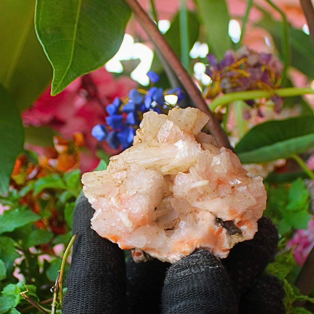 130g Stilbite with Heulandite on Matrix | Rare Mineral Crystal from India
