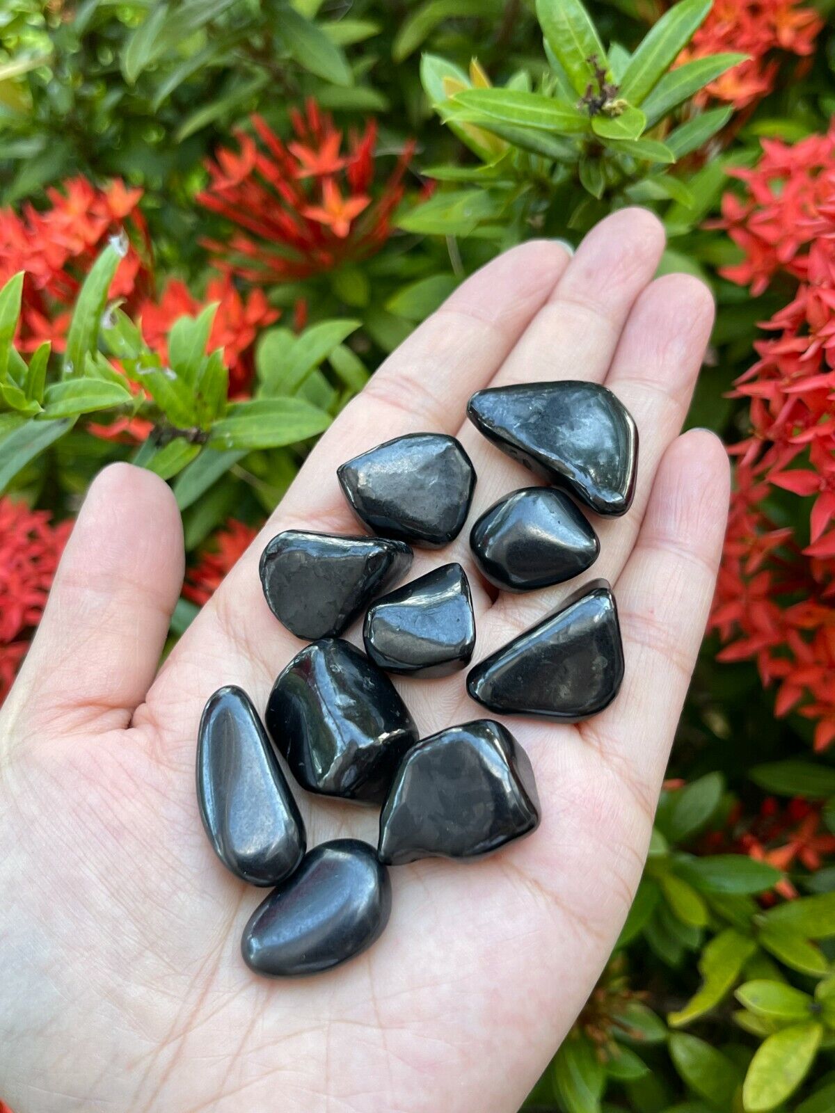 1/2 Lb Lot Tumbled Stones, 0.75-1.25" Crystal Healing Stones, Choose Stone Type