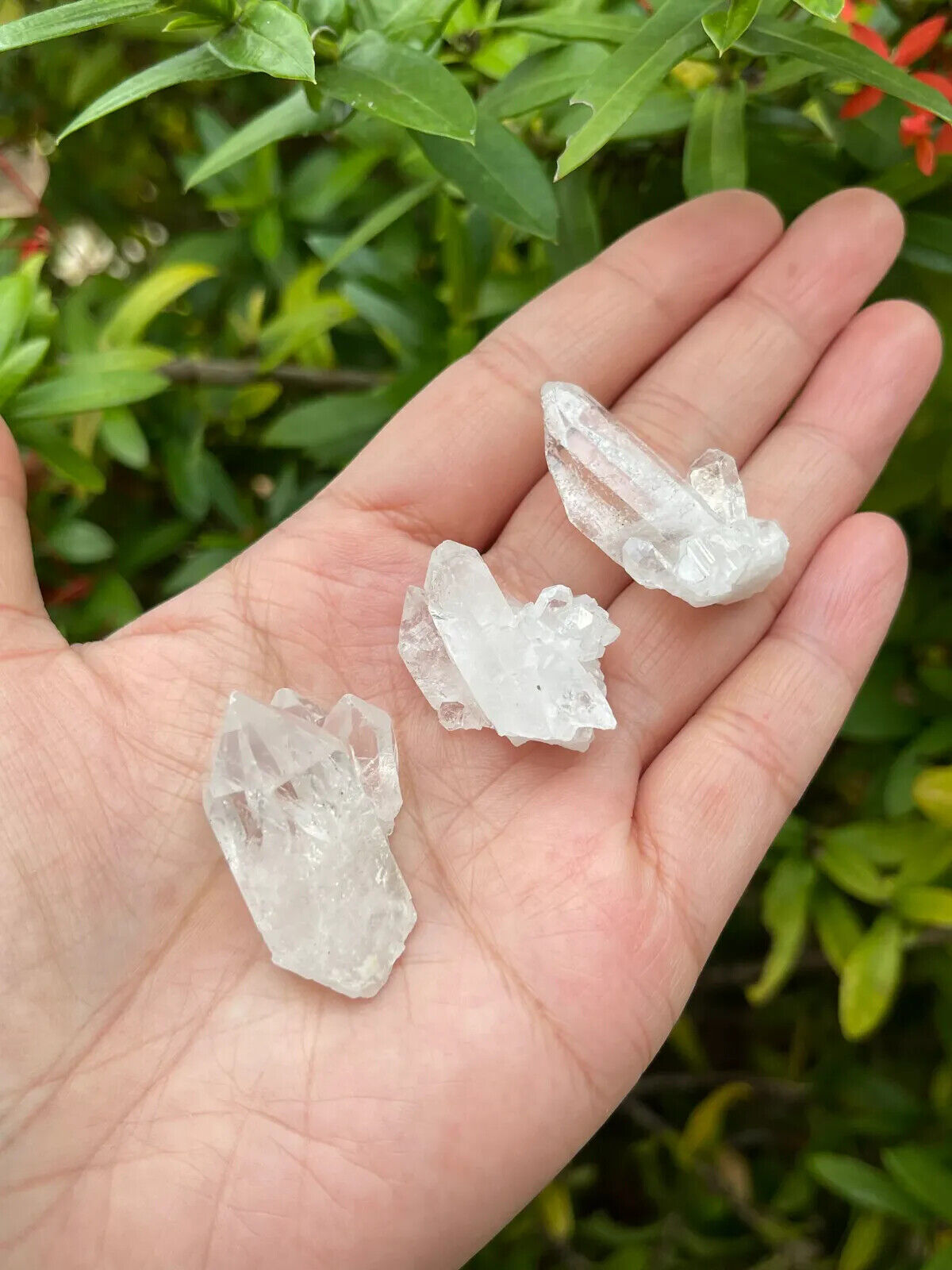 10 pcs Box Clear Quartz Clusters Collection, Grade A++ Raw Clear Quartz Geode