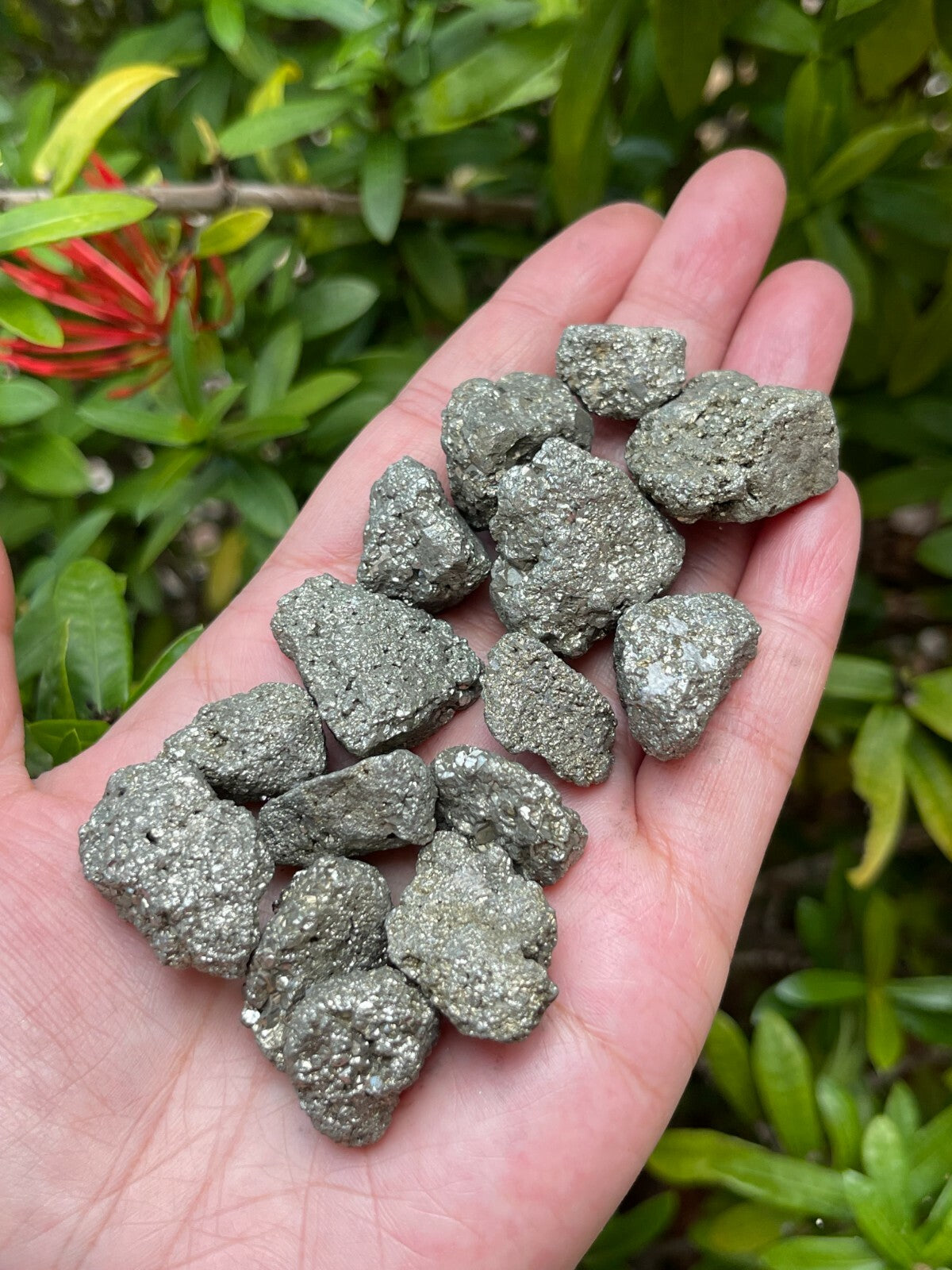 Grade A++ Small Rough Pyrite Stone, 0.5-1" Raw Pyrite Stone, Wholesale Bulk Lot
