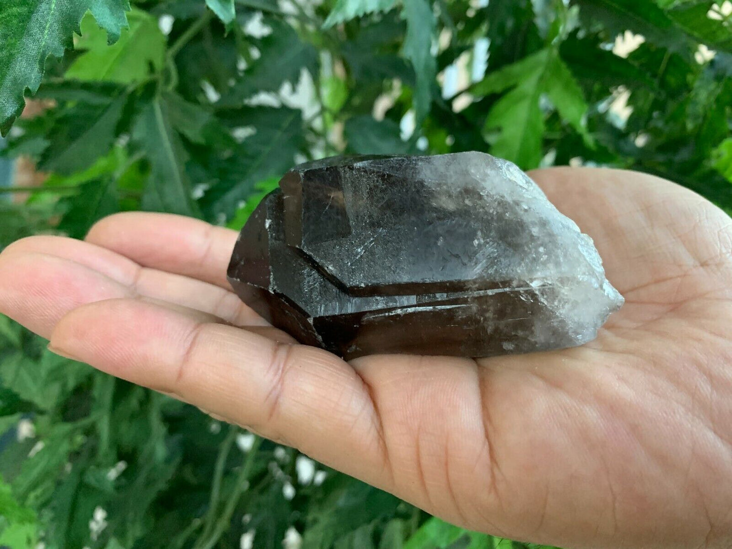 Extra Large Natural Smoky Quartz Crystal Points, 2-3 Inches Smoky Quartz Point