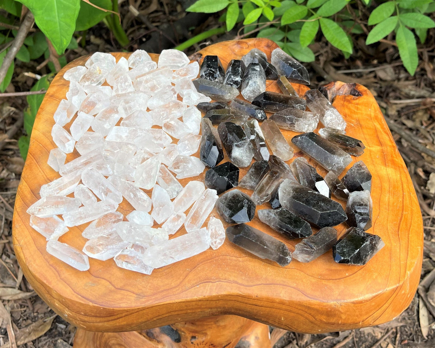 1/2 lb Bulk Smoky Quartz & Clear Quartz Crystal Collection Box (Natural Points)