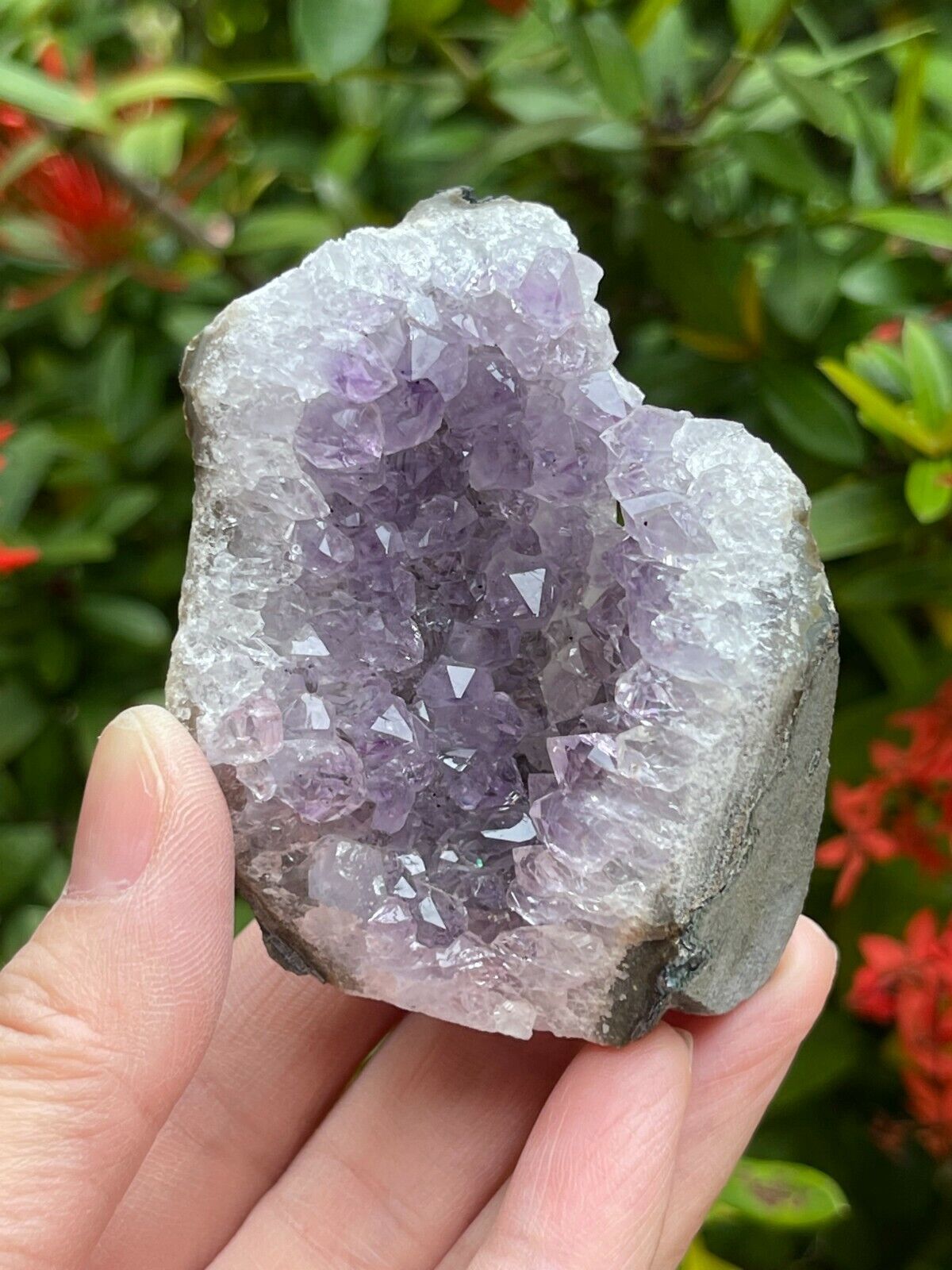 Uruguayan Amethyst Cluster, Grade B Amethyst Geode with Cut Base, Pick a Size