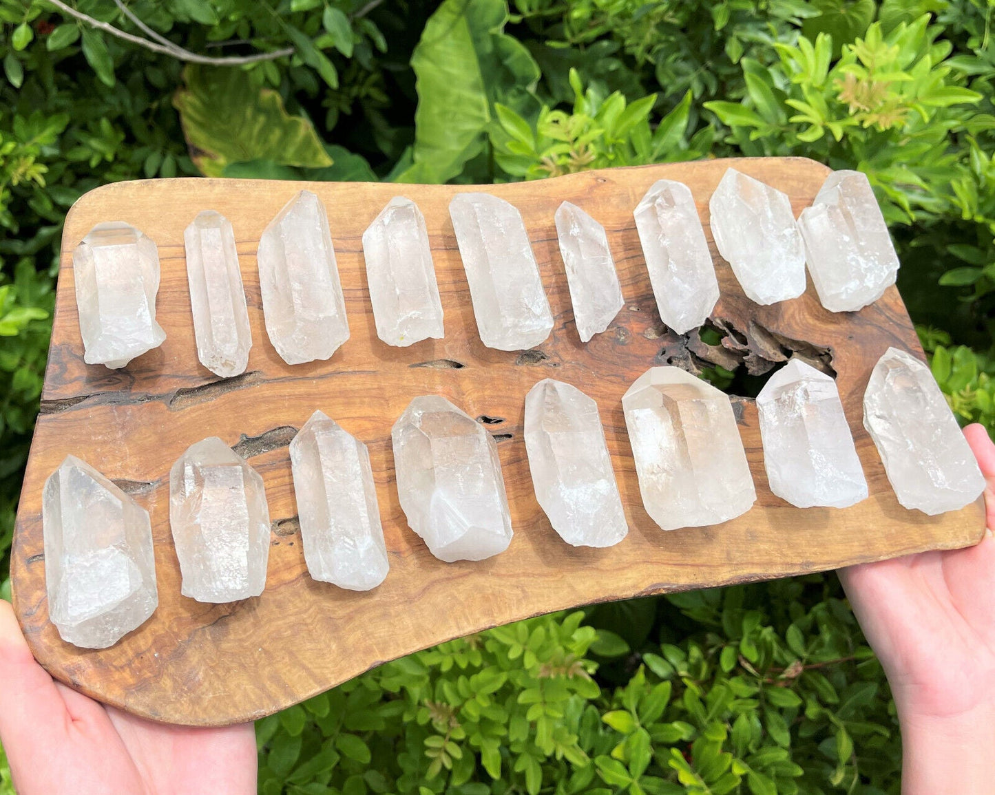 Clear Quartz Crystal Point (2" - 3") Natural Wand Specimen, Reiki Healing