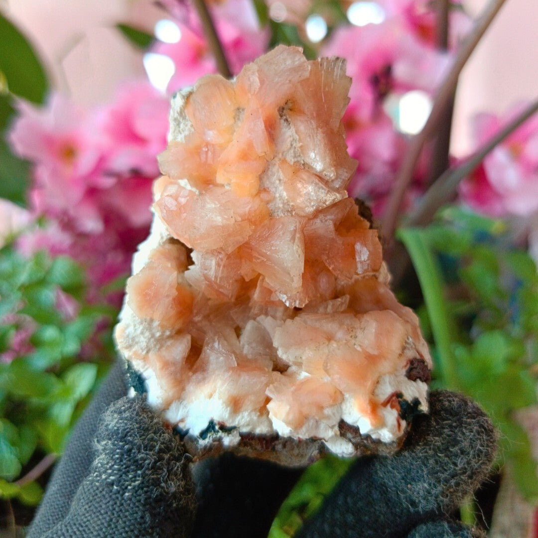 Orange Stilbite & Heulandite Crystal Cluster 120g Energy & Chakra Stone