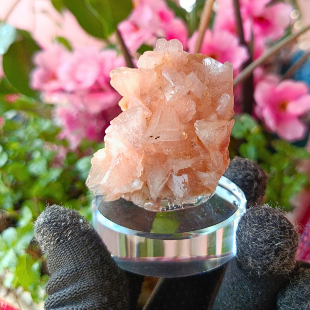 Rare Orange Stilbite & Heulandite Crystal Specimen 130g From India