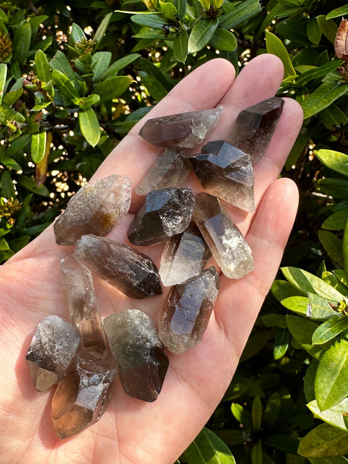 Natural Smoky Quartz Crystal Points, Small Smoky Quartz Point,Wholesale Bulk Lot