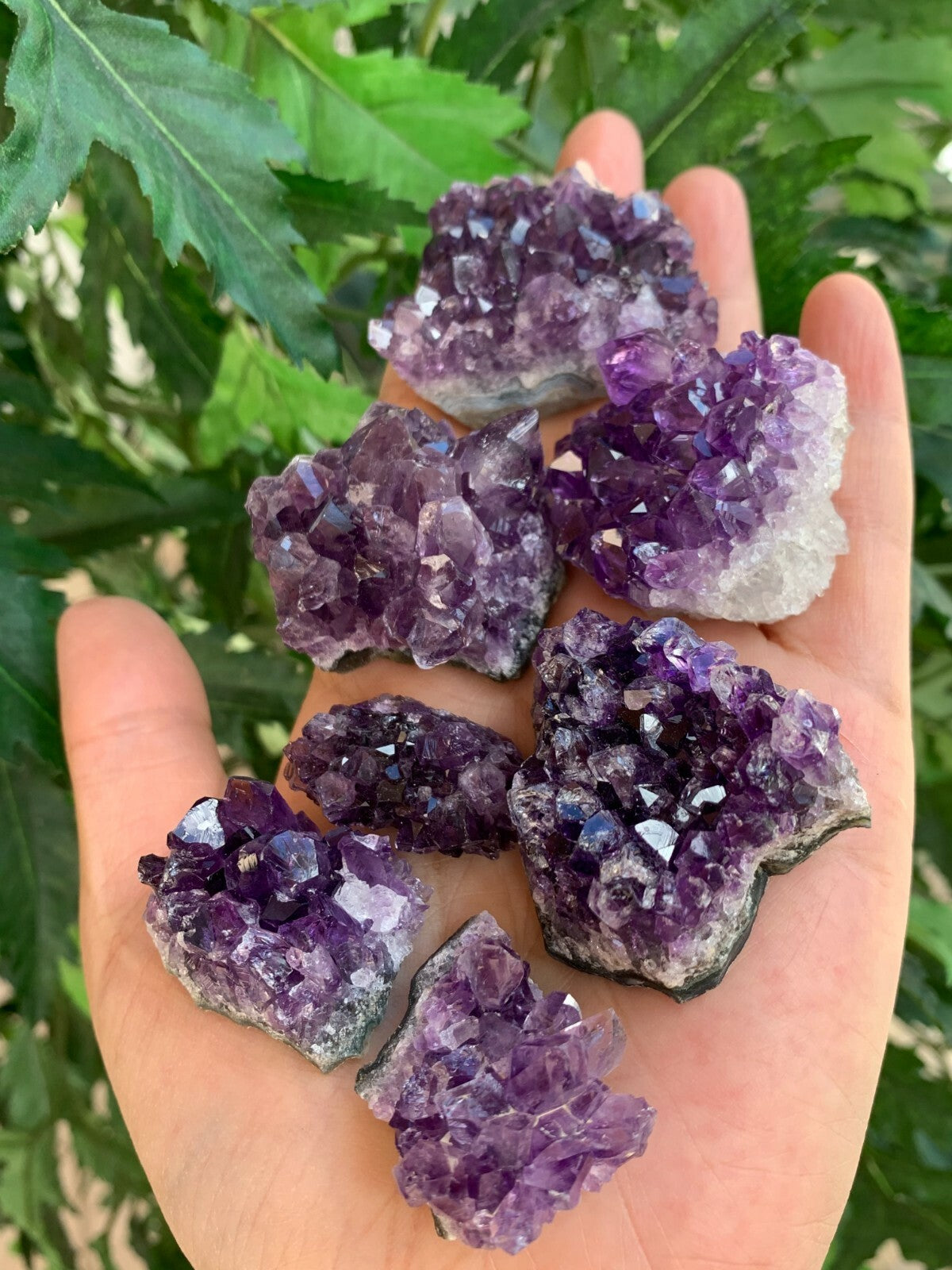 Raw Amethyst Cluster Druzy Collection Box:6-8 oz, 7 - 10 Pieces Natural Amethyst