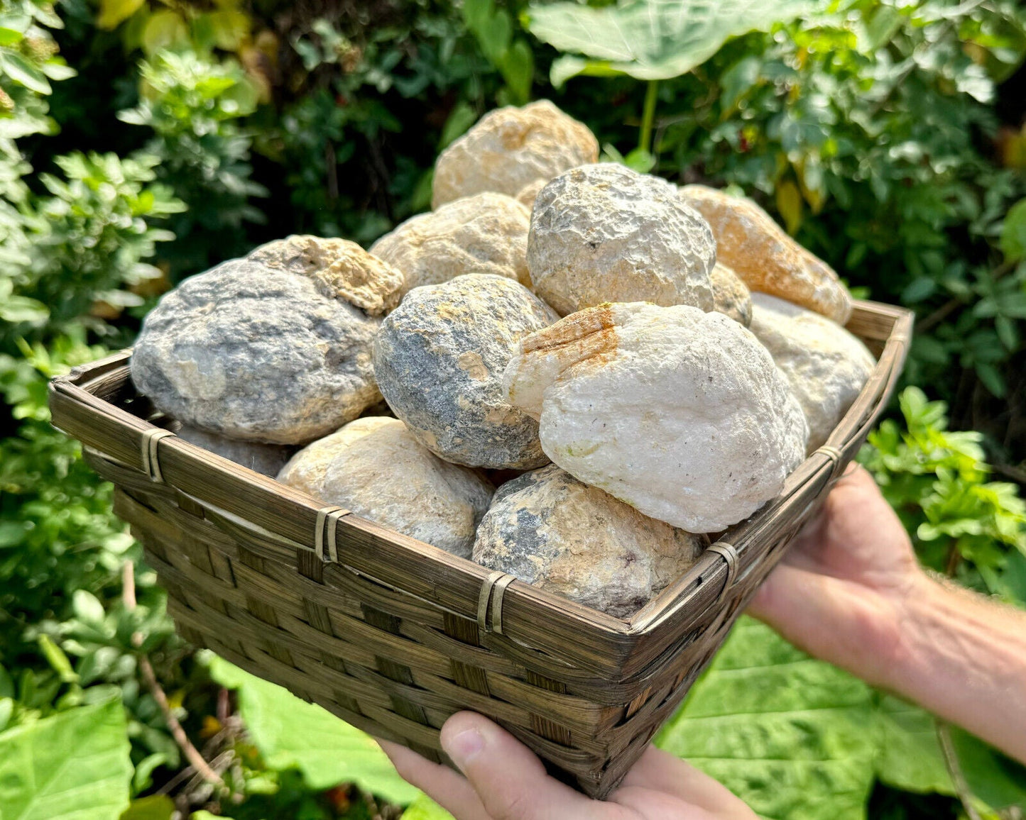 JUMBO Break Your Own Geodes Wholesale Lots - Unopened Moroccan Calcite Crystals