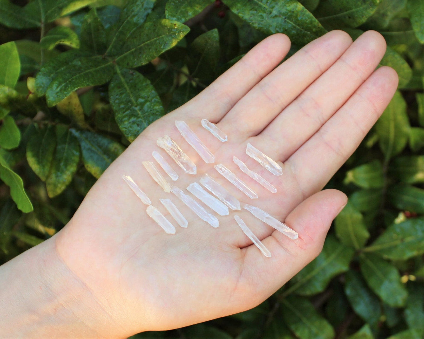 Matchstick / Jewelry Quartz Points: Tiny Natural Crystals (Wholesale Bulk Lots)
