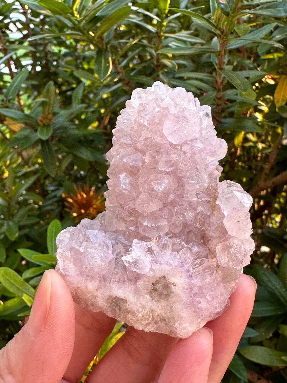 Grade A++Spirit Quartz Clusters,Natural Spirit Quartz Crystals, Porcupine Quartz