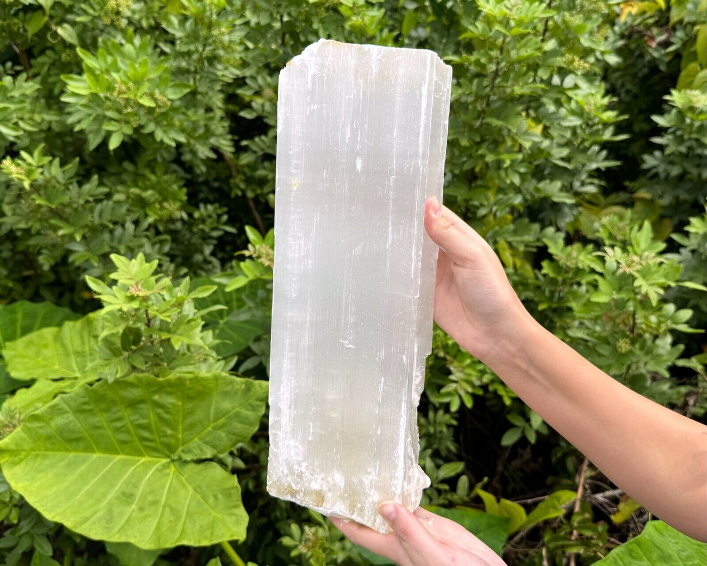 MASSIVE Selenite Logs - Natural White Selenite Crystals (HUGE Selenite Sticks)