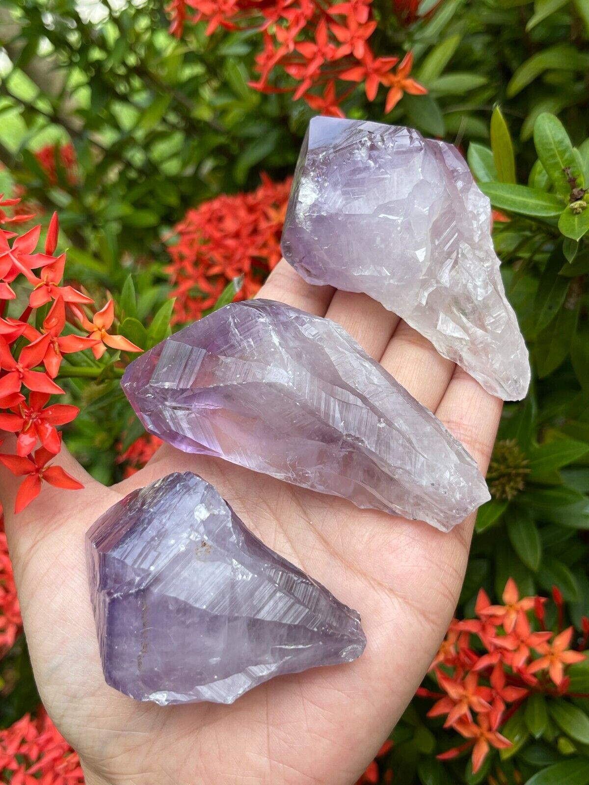 Extra Large Amethyst Rough Points, 2.5 - 3.25" Raw Amethyst Points, Bulk Lot