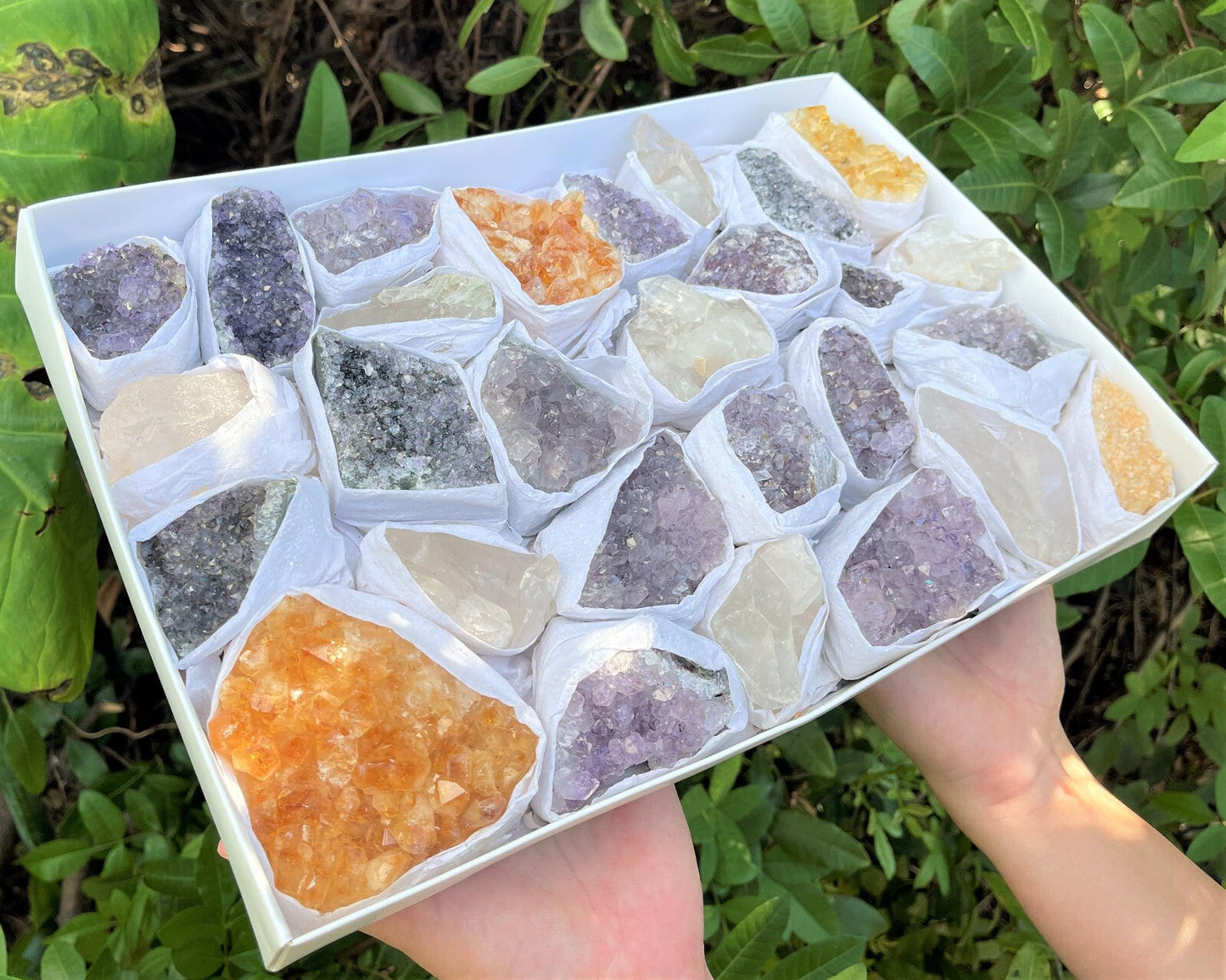 HUGE Bulk Lot Citrine Clear Quartz Amethyst Clusters Druze Crystal 20 - 30 Piece