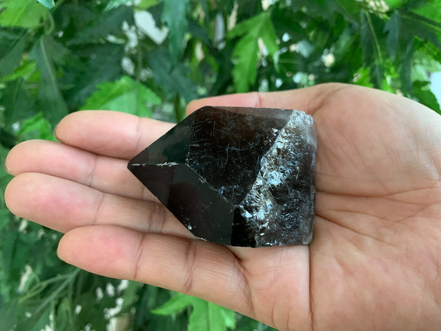 Extra Large Natural Smoky Quartz Crystal Points, 2-3 Inches Smoky Quartz Point