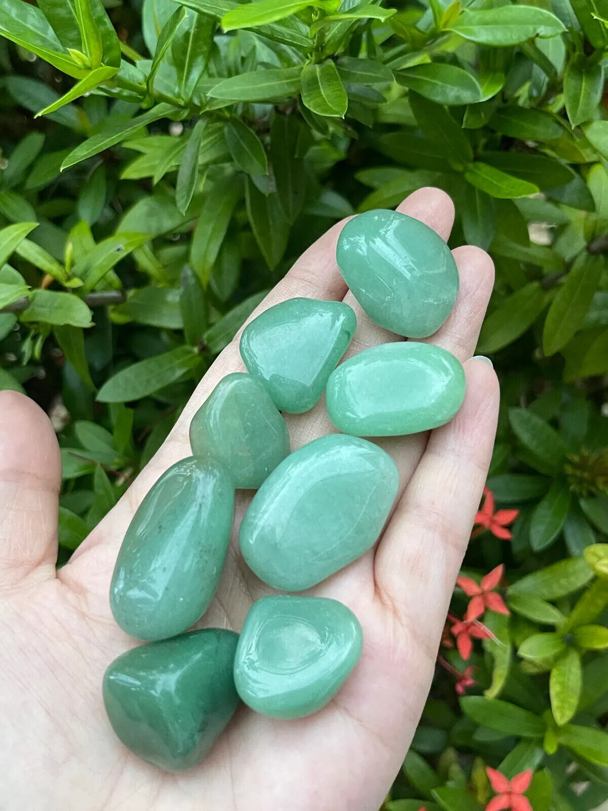 1/2 Lb Lot Tumbled Stones, 0.75-1.25" Crystal Healing Stones, Choose Stone Type