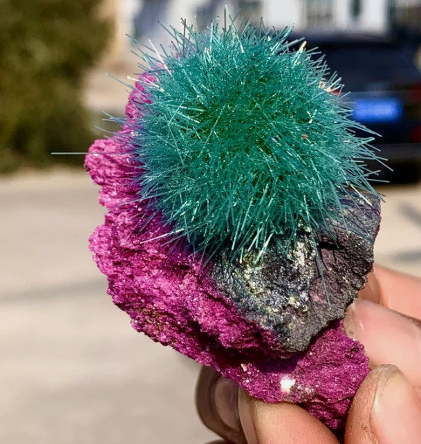 Dandelion Zeolite Quartz Crystal Cluster Mineral Quartz Crystal Specimens Decor