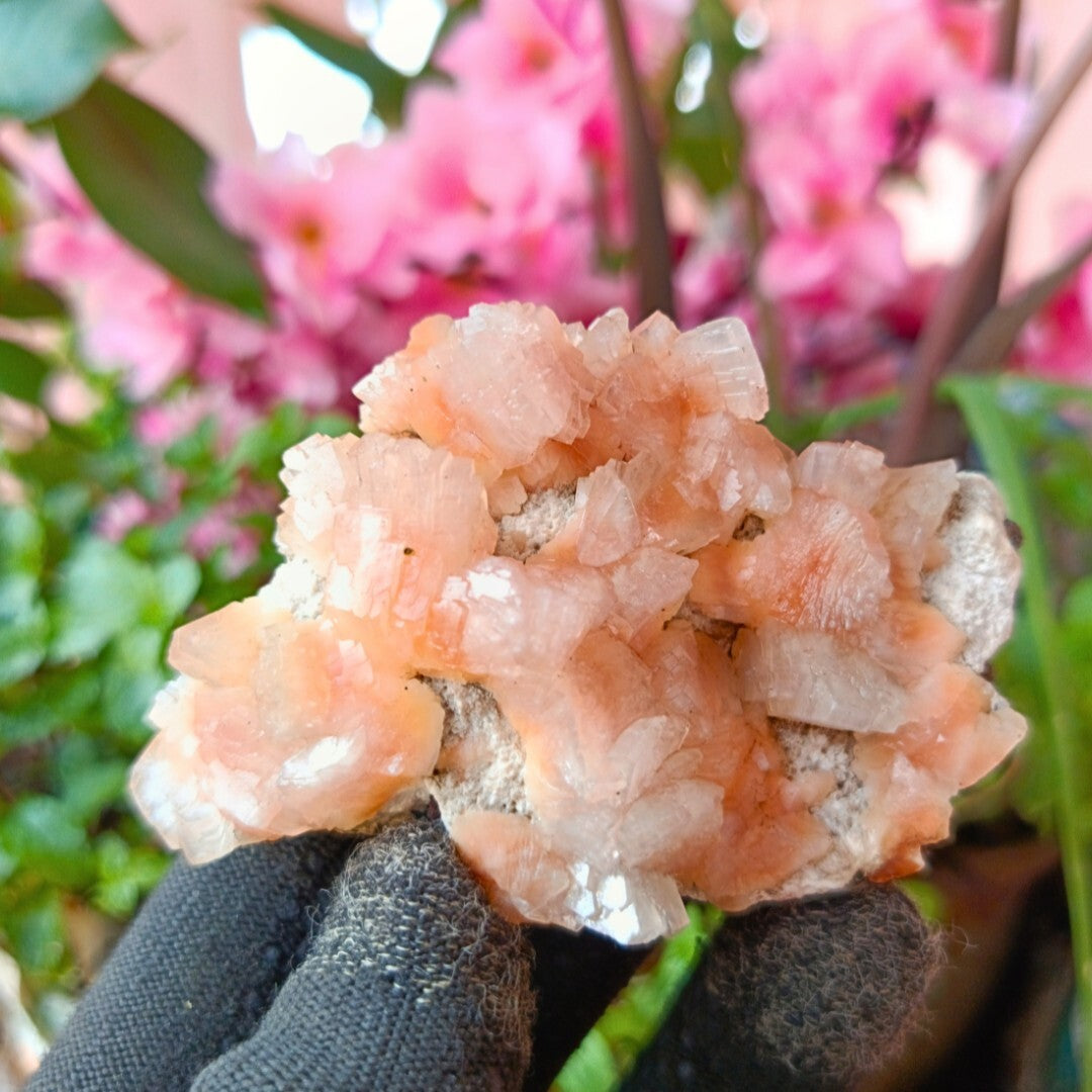 Natural Stilbite & Heulandite Healing Crystal Mineral Energy Stone 100g