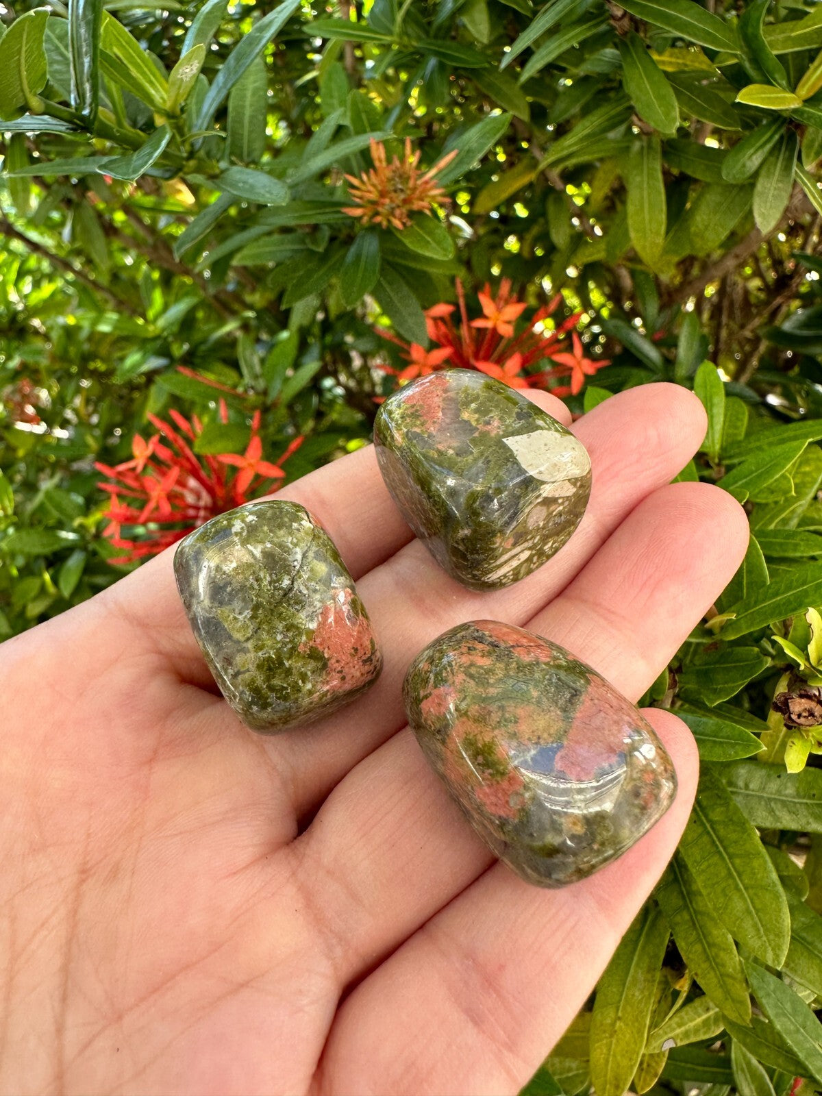 Grade A++ Unakite Tumbled Stones, 0.75-1" Tumbled Unakite Stone, Wholesale Bulk