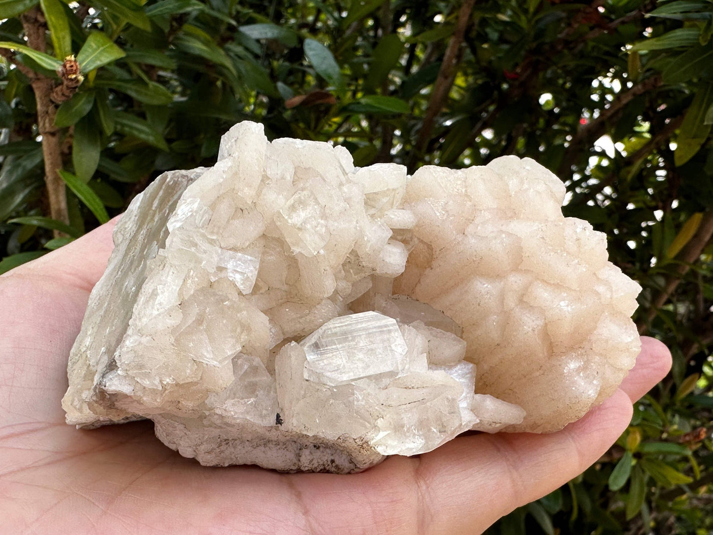 Apophyllite & Stilbite Crystal Cluster 3-8", Apophyllite Cluster with Inclusions
