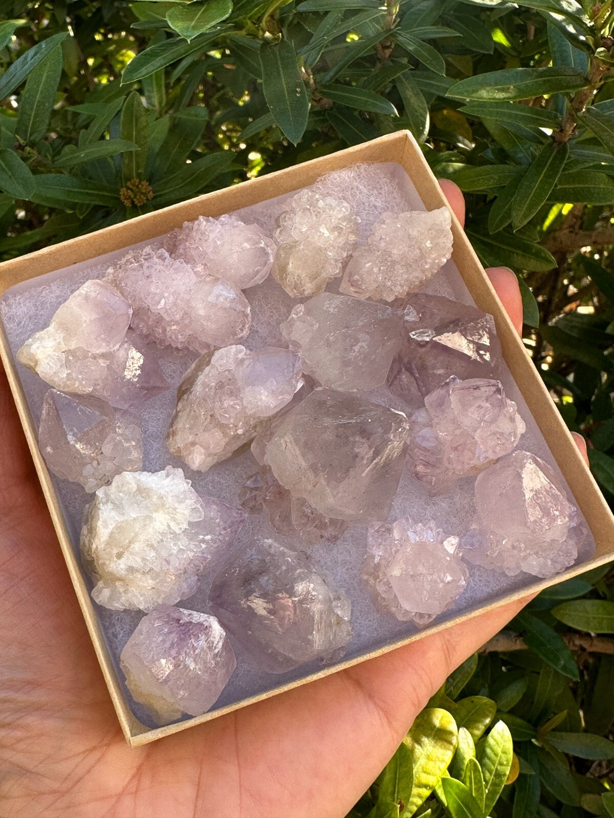 Spirit Quartz Clusters Crystal Collection Box: 6 - 7 oz Box Lot, 11 - 14 Pieces