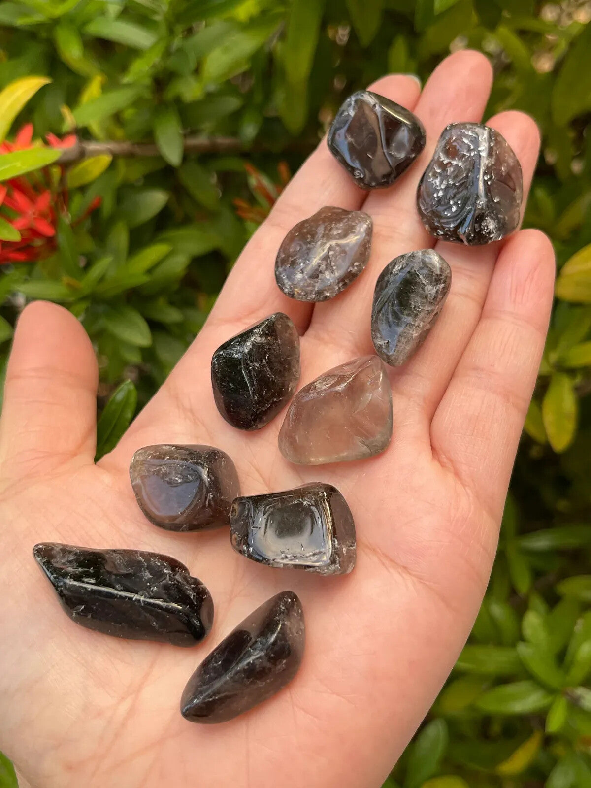 1/2 Lb Lot Tumbled Stones, 0.75-1.25" Crystal Healing Stones, Choose Stone Type