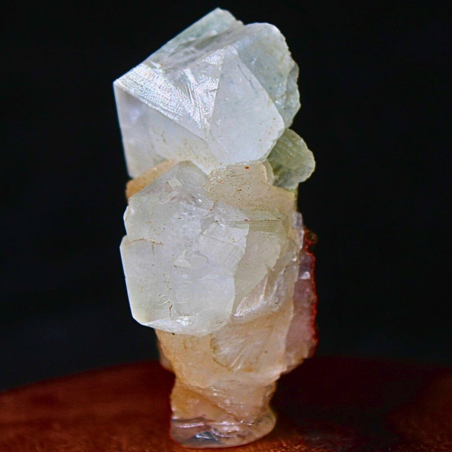Apophyllite on Stilbite Cut Point Crystal 52g Reiki Healing & Meditation Stone
