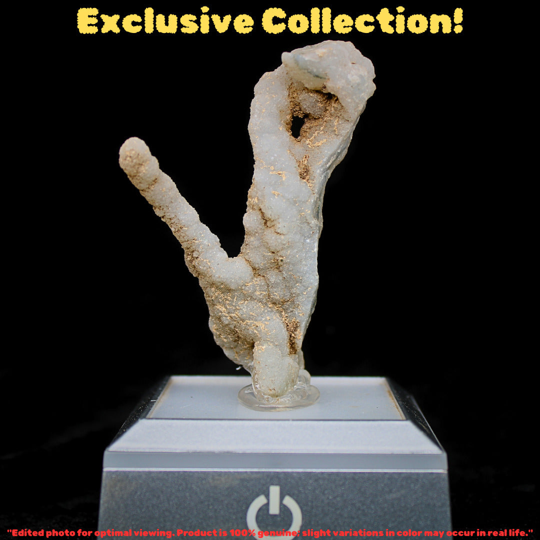 Natural Coral Mineral Cluster 30g Rare Fossil Specimen Collector Piece