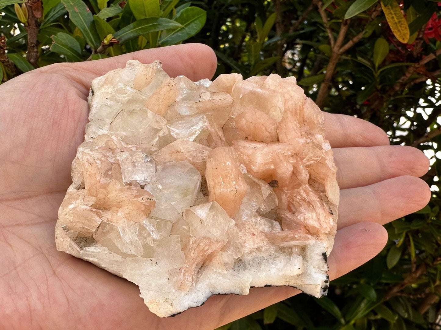 Apophyllite & Stilbite Crystal Cluster 3-8", Apophyllite Cluster with Inclusions
