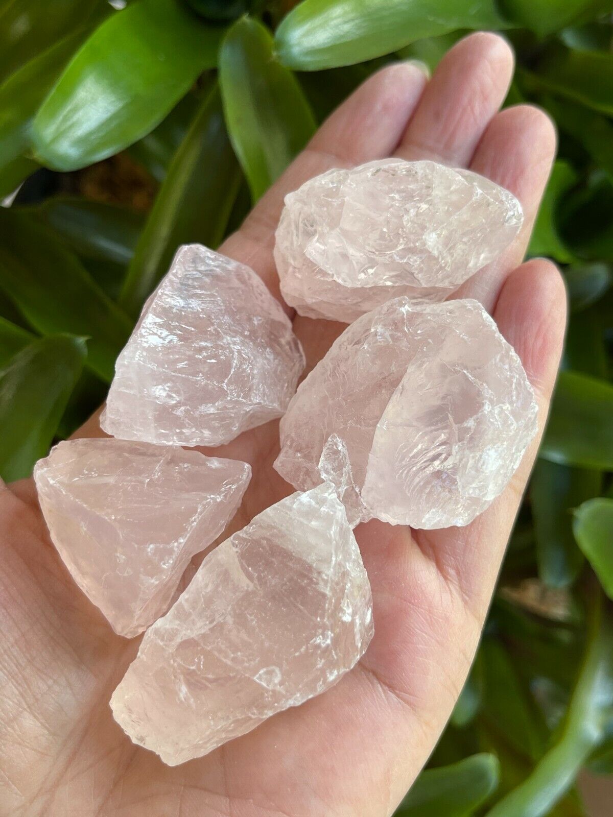 Natural Rough Rose Quartz Crystal Mineral, You Choose Amount