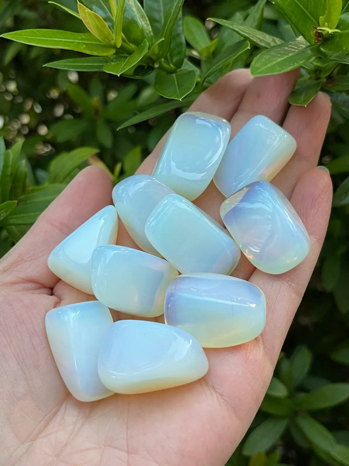 1/2 Lb Lot Tumbled Stones, 0.75-1.25" Crystal Healing Stones, Choose Stone Type