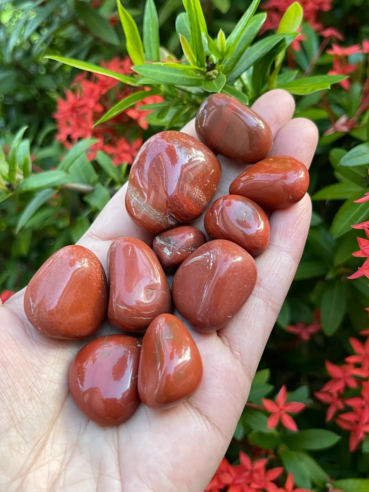 1/2 Lb Lot Tumbled Stones, 0.75-1.25" Crystal Healing Stones, Choose Stone Type