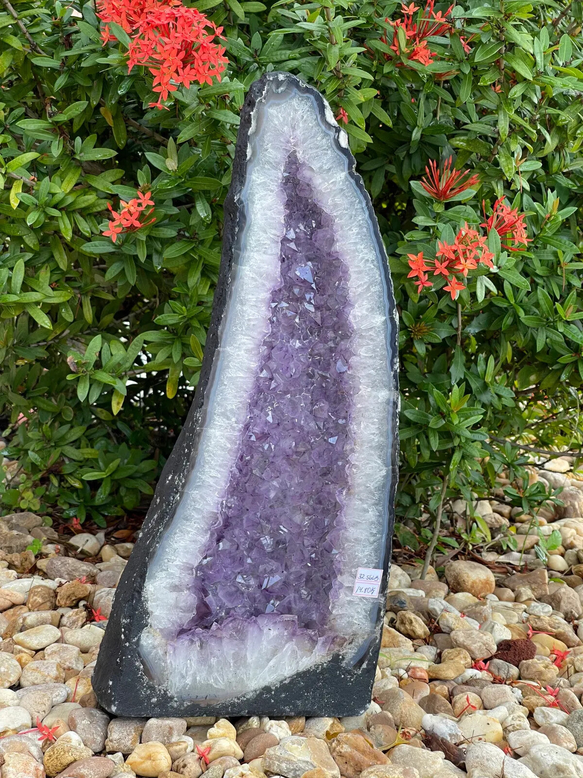 X-Large Amethyst Cathedral, Amethyst Geode,Raw Amethyst Cluster, Pick a Weight