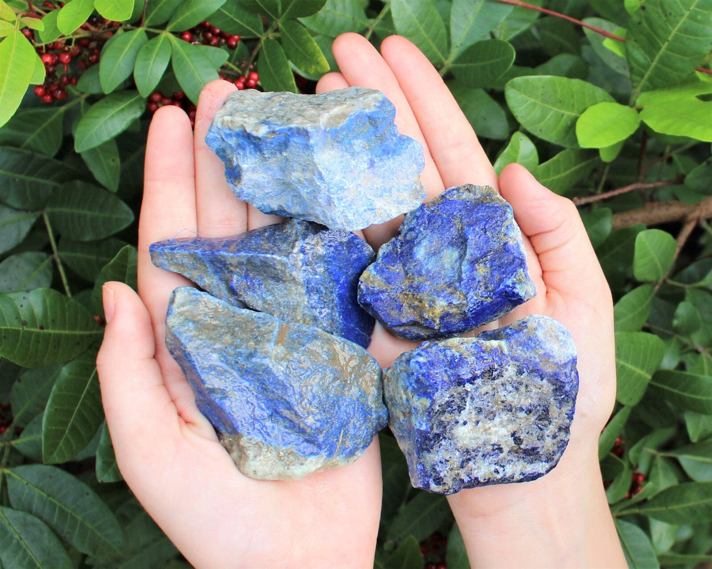 LARGE Rough Lapis Lazuli Chunks, 2" - 3" (Blue Raw Crystal Gemstone Specimen)