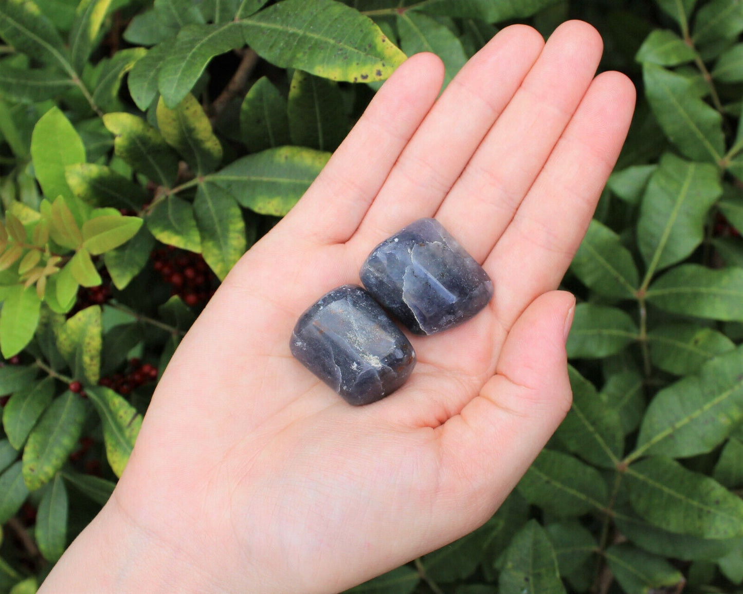 2 Medium Large Tumbled Iolite Gemstone Crystals (Third Eye Chakra)