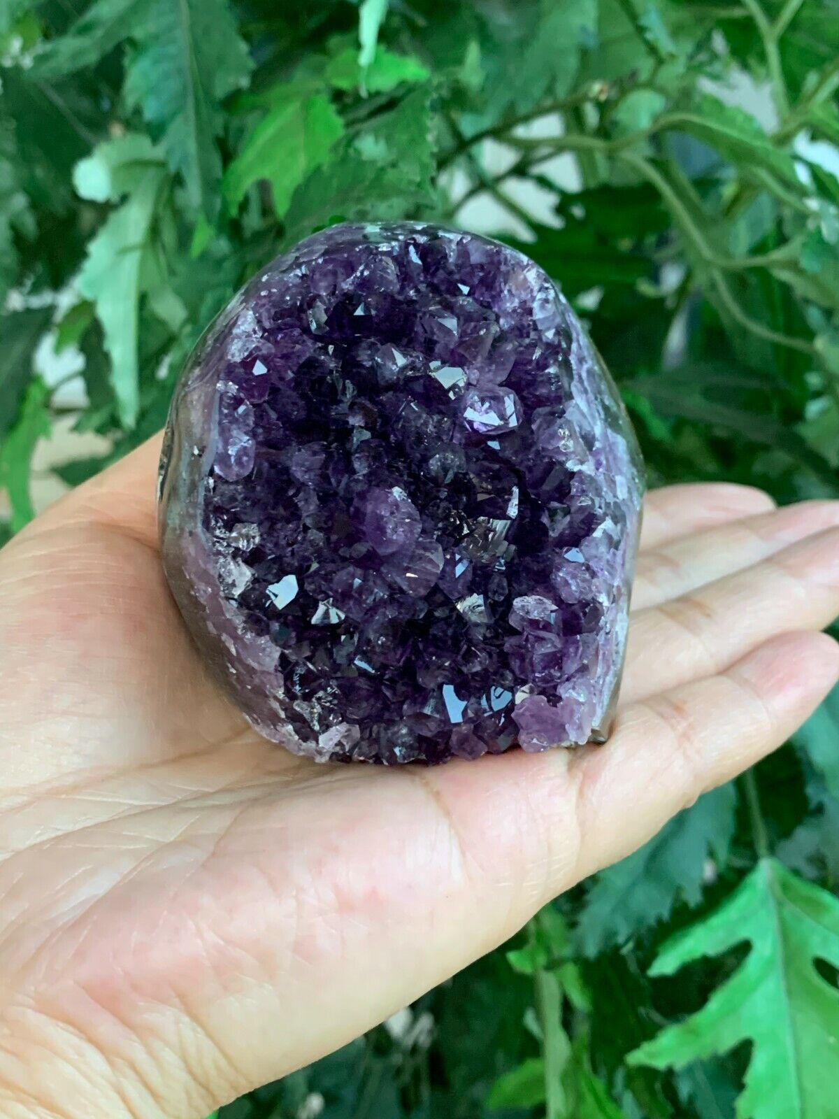 Finely Polished Uruguay Deep Purple Amethyst Cluster Crystal Geode, Pick a Size