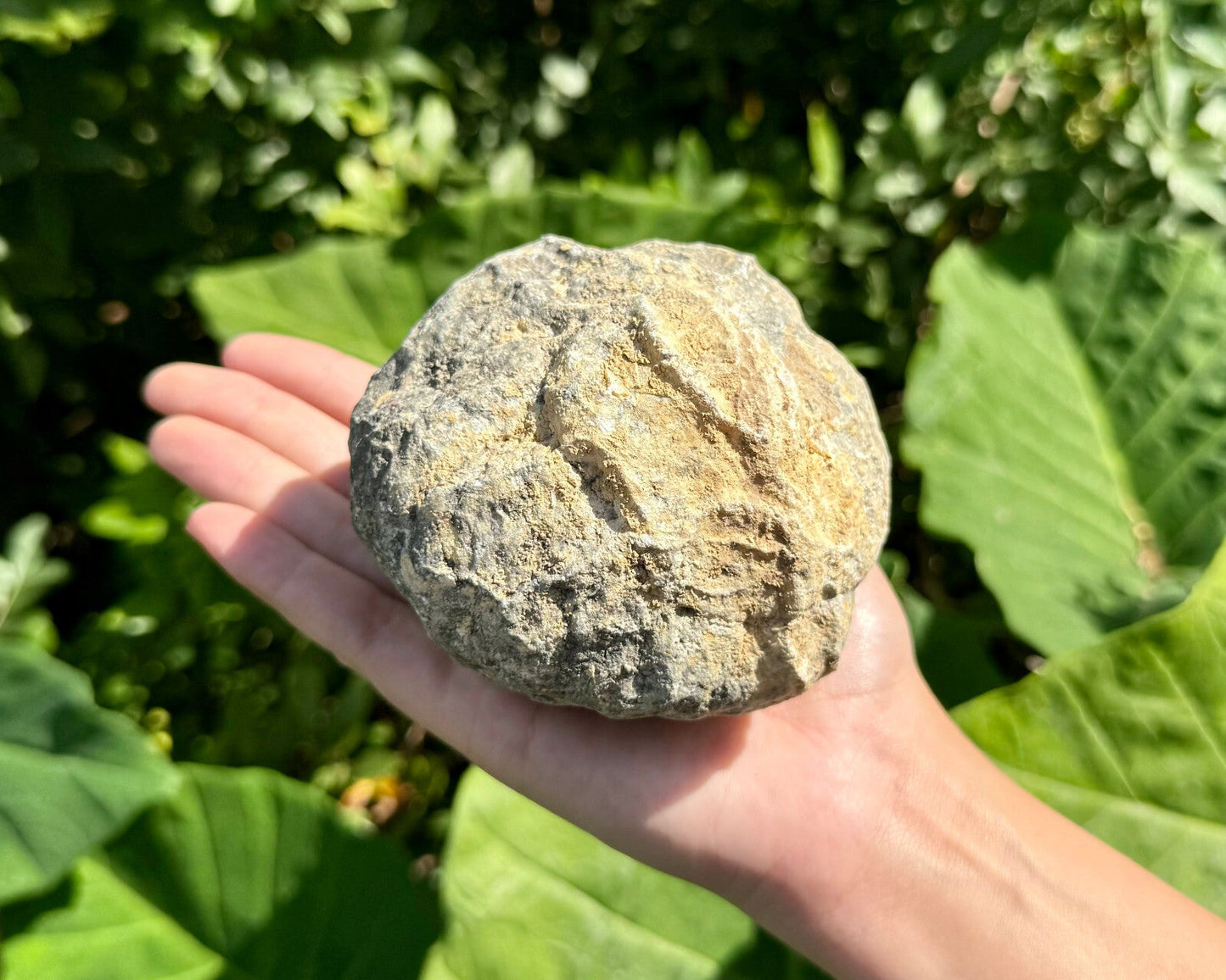 CRAZY CHEAP Break Your Own Geodes - 20 lb Box JUMBO Unopened Moroccan Crystals