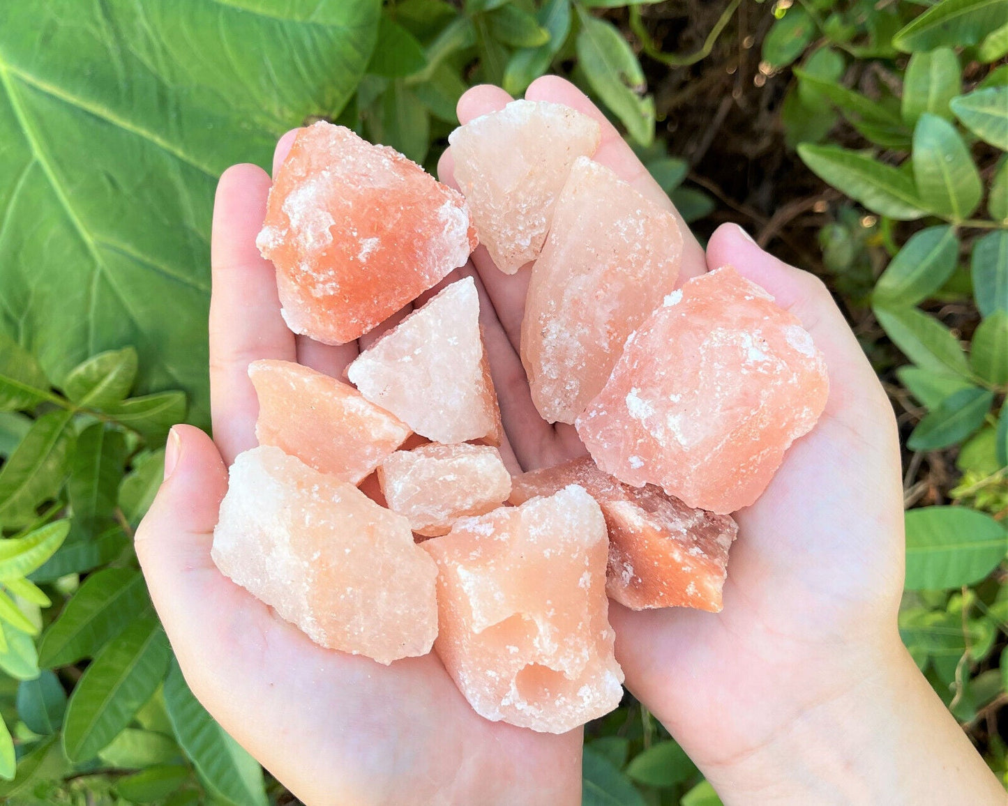 Natural Himalayan Salt Chunks: XL Large (Chunky Crystals, Pink Sea Salt, Rocks)