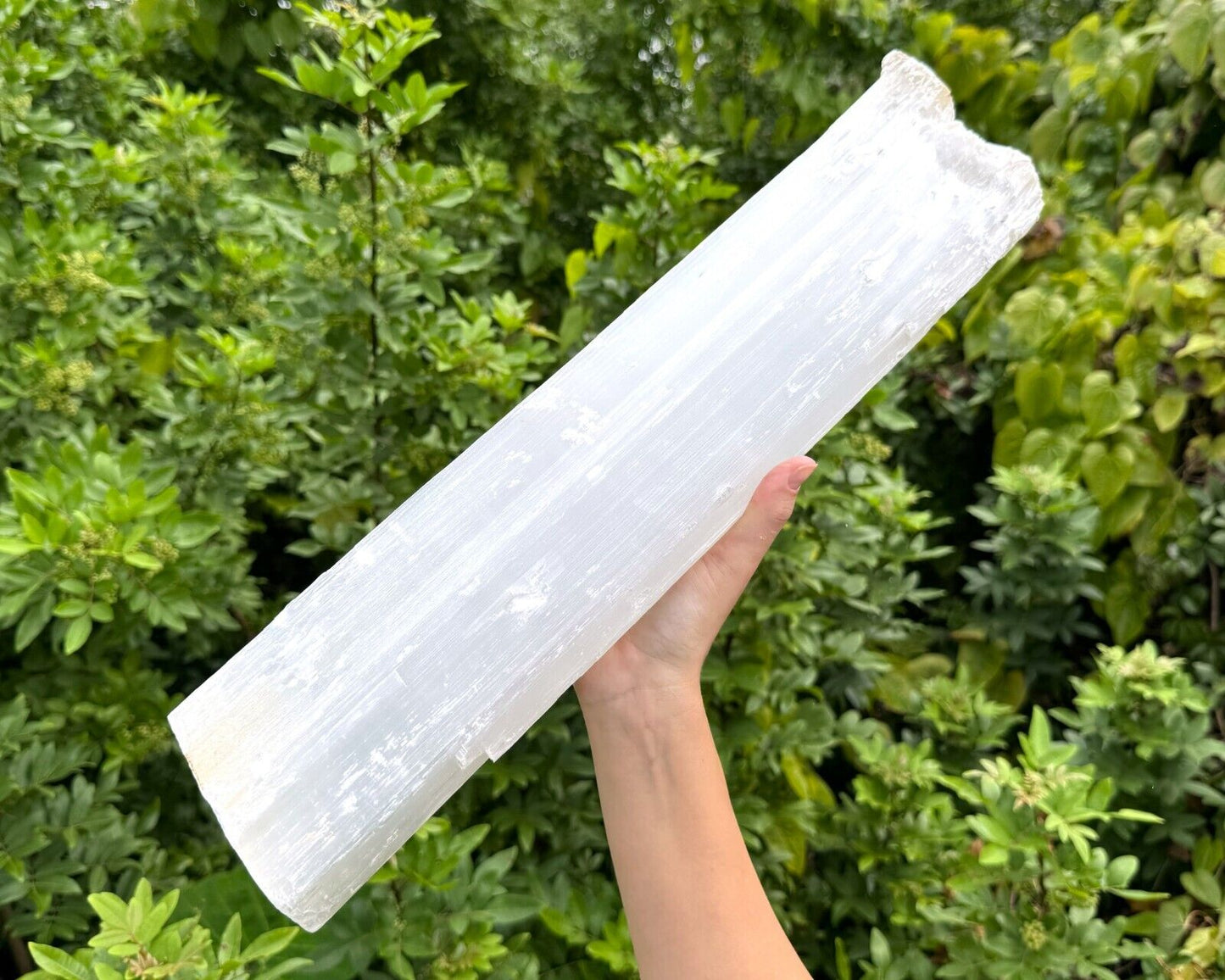 MASSIVE Selenite Logs - Natural White Selenite Crystals (HUGE Selenite Sticks)