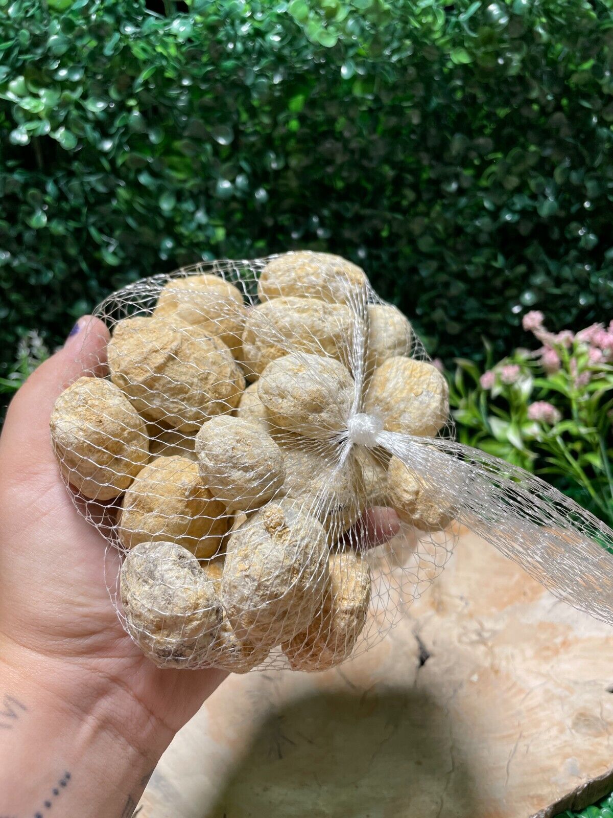 2cm-5cm Break Your Own Geodes Unbroken Quartz Crystal Geode 0.2 LB