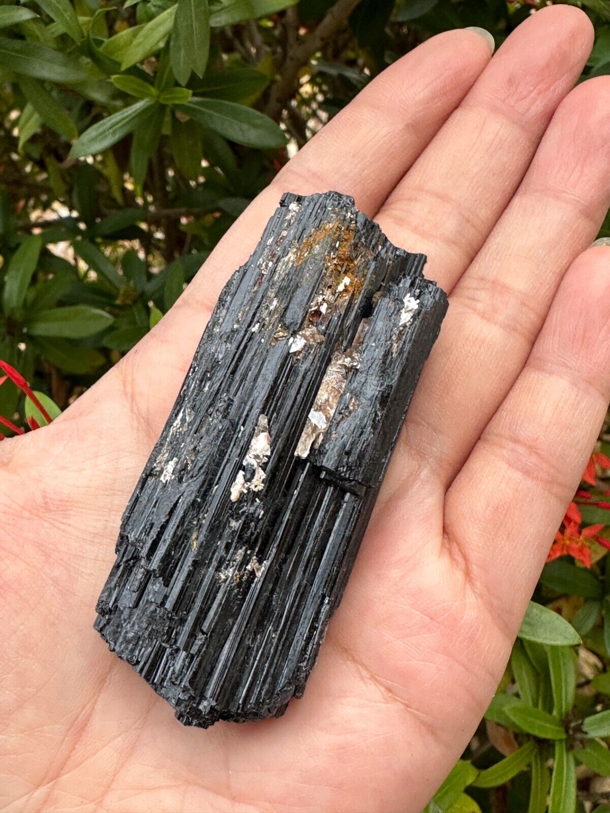 5 pcs Set Shiny Black Tourmaline Log, Grade A++ Natural Black Tourmaline Rod