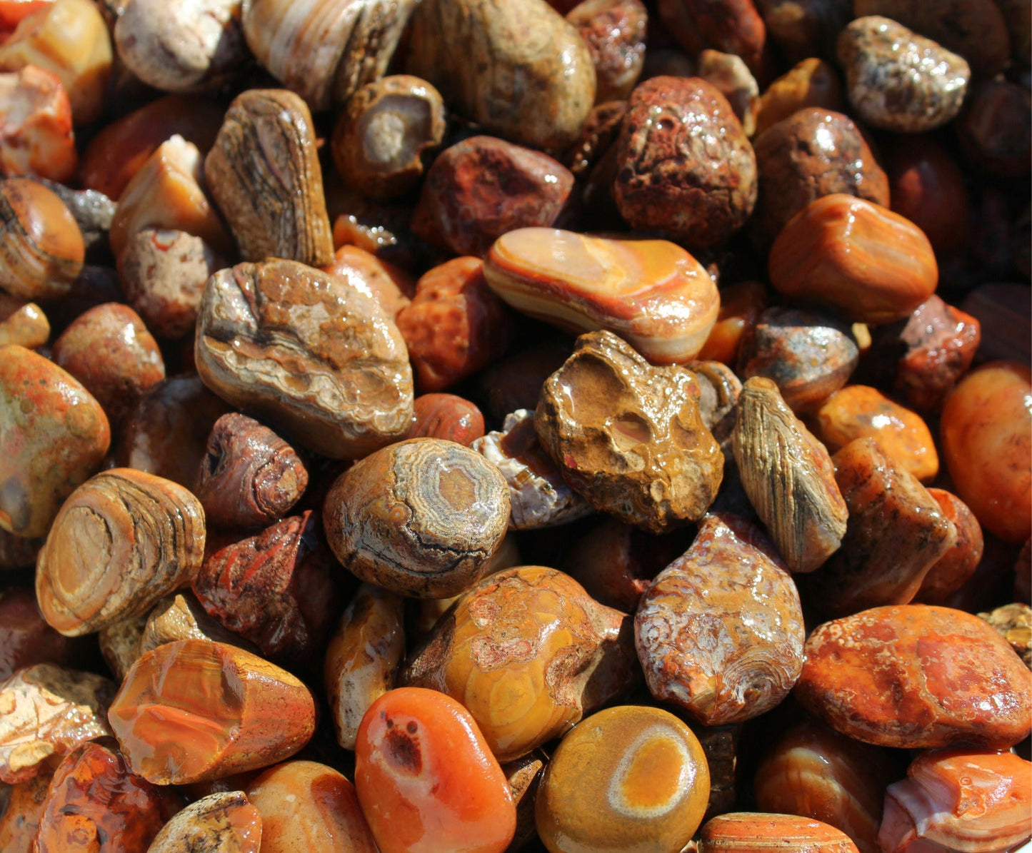 Bahia Agate - Large Rough Rocks for Tumbling - 2" - 3" - 1LB Bulk Wholesale