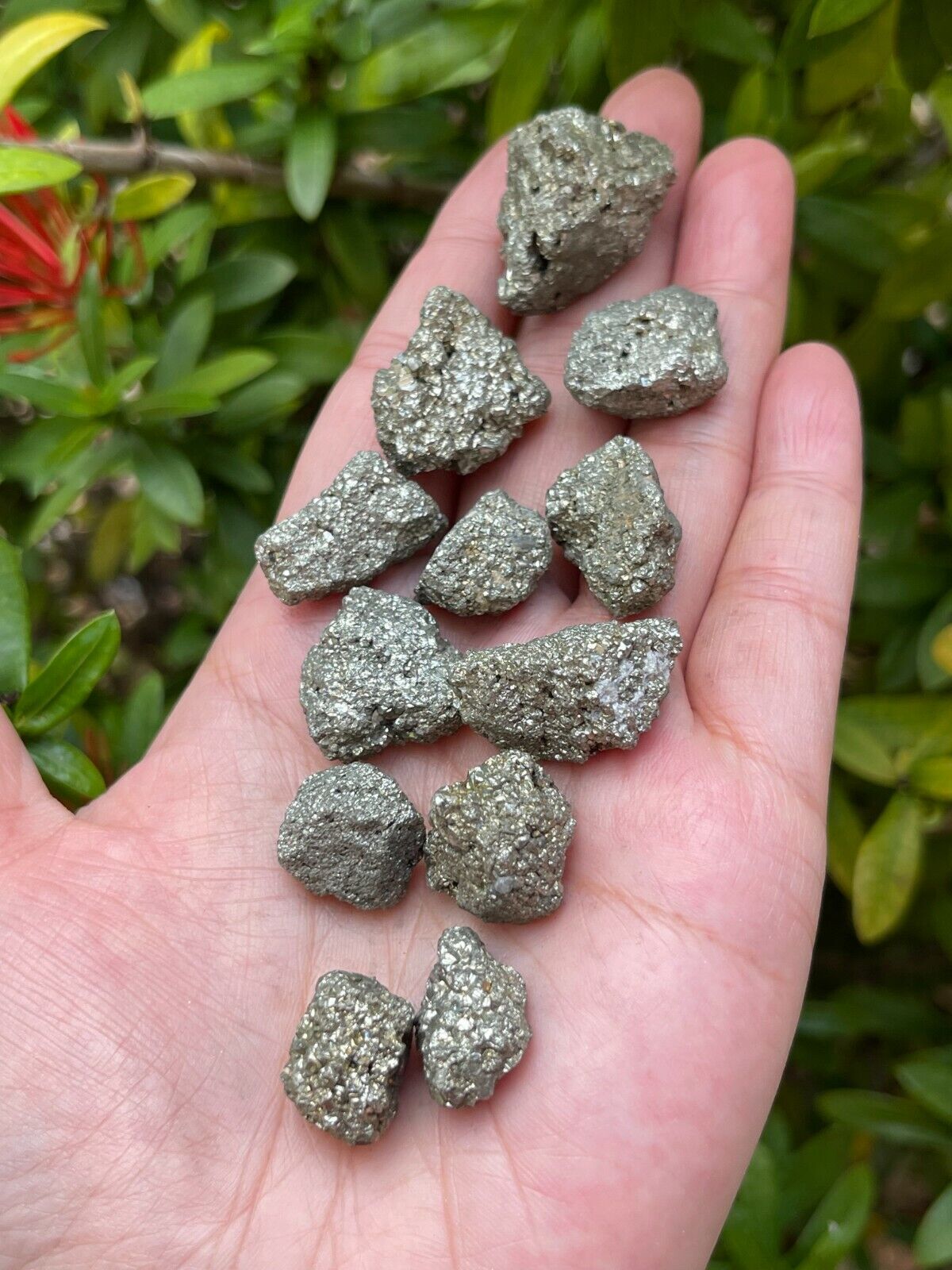 Grade A++ Small Rough Pyrite Stone, 0.5-1" Raw Pyrite Stone, Wholesale Bulk Lot