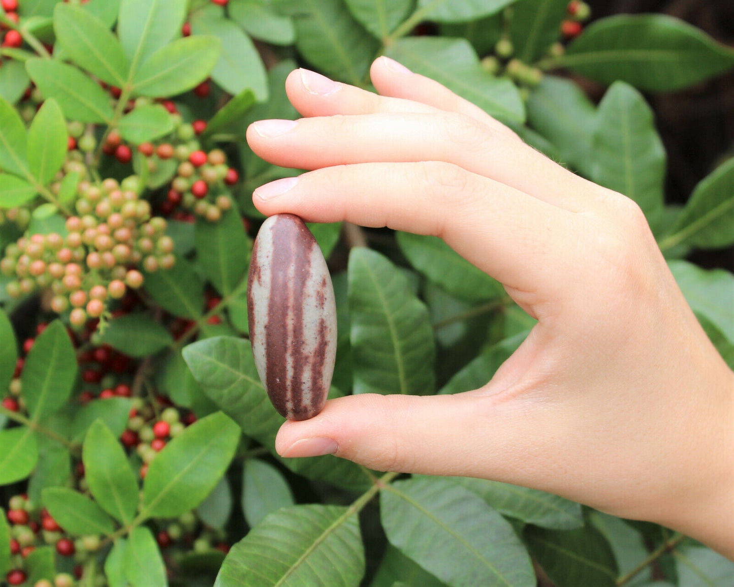 Lot of 10 Shiva Lingam Stones Medium 1.5 - 2" Narmada River India Shiva Lingham