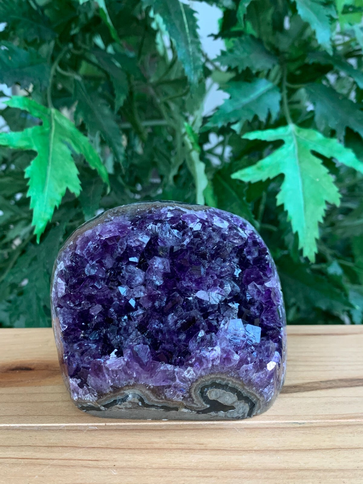 Finely Polished Uruguay Deep Purple Amethyst Cluster Crystal Geode, Pick a Size