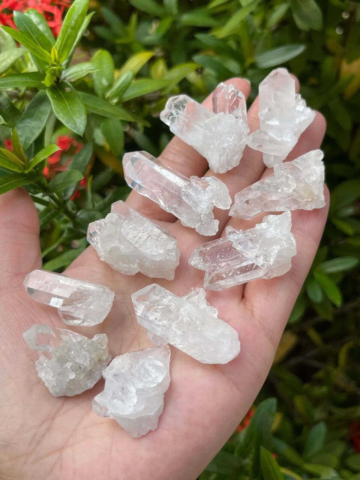 10 pcs Box Clear Quartz Clusters Collection, Grade A++ Raw Clear Quartz Geode