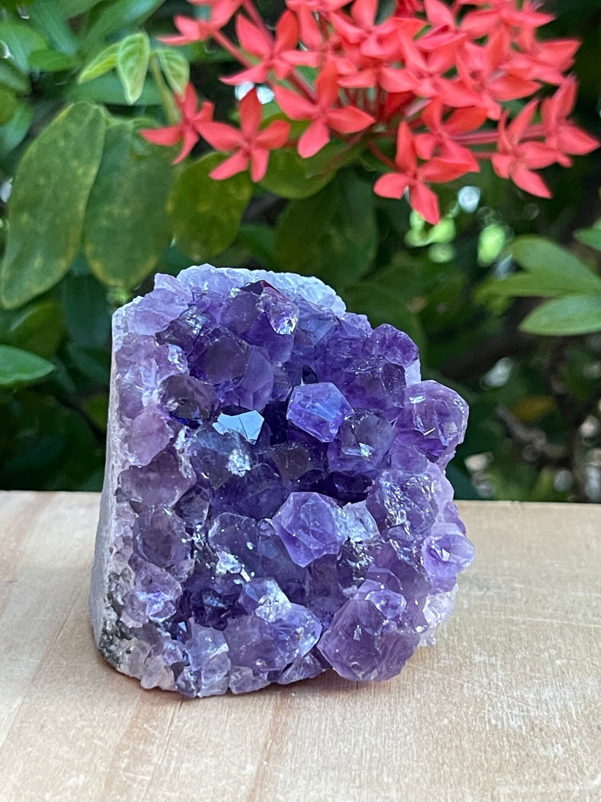 Small Uruguayan Amethyst Cluster, Amethyst Geode, Wholesale Bulk Lot